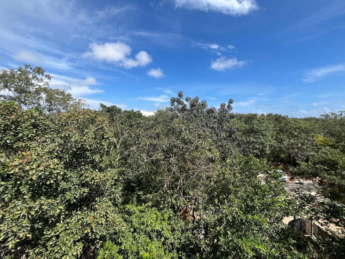 Pent House With Plunge Pool * Tulum